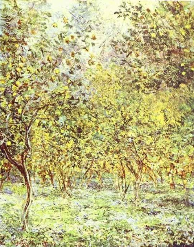 lemon-trees_ bordighera.jpg